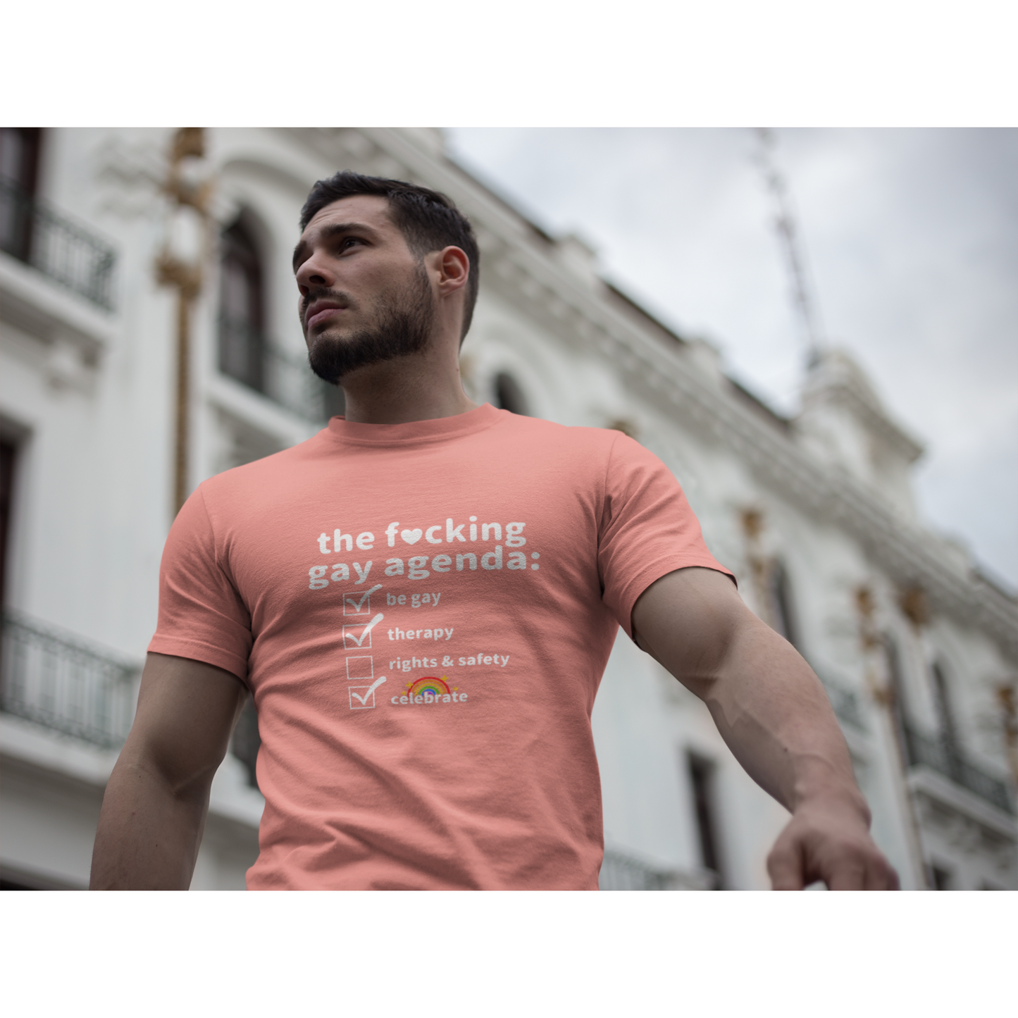 The F*cking Gay Agenda Shirt (4 colors S-5XL)